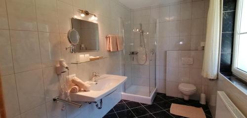 een badkamer met een wastafel, een douche en een toilet bij Apart Bella Cascata in Kappl