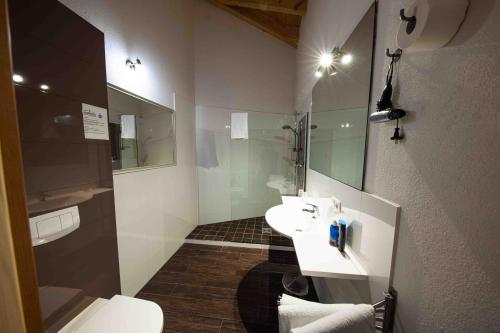 a bathroom with a toilet and a sink and a shower at The Paddock B&B in Müllenbach