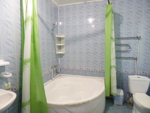 Na Admirala Makarova في نيكولايف: حمام مع حوض ومرحاض مع ستائر خضراء