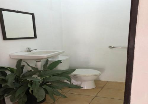 a bathroom with a sink and a toilet and a mirror at Restaurante y cabinas Sudy in Carara