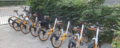 una fila di biciclette parcheggiate l'una accanto all'altra di Hotel Laika a Rimini