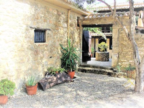 a stone building with potted plants in a courtyard at Ampelos Estate in Akrata