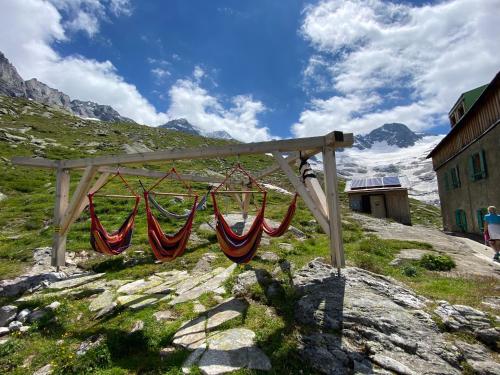 a hammock on the side of a mountain at Ferienwohnung Schiestl in Zell am Ziller