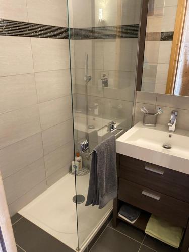 ein Bad mit einer Dusche und einem Waschbecken in der Unterkunft Studio magnifique saint Gervais les bains in Saint-Gervais-les-Bains