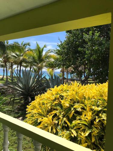 Gallery image of Hotel Playazul in Santa Cruz de Barahona