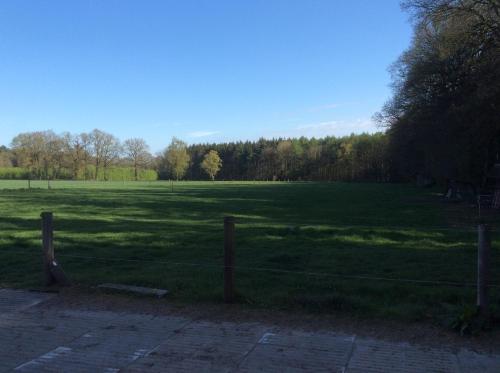 a fence in a large grass field with trees at Ferienwohnung am Mühlendamm in Lastrup