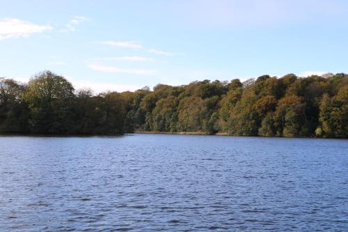 a large lake with trees in the background at Villa Sankt Olof in Sankt Olof