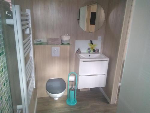 une petite salle de bain avec un lavabo et des toilettes dans l'établissement le clos des genêts, à Agencourt