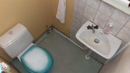 a small bathroom with a toilet and a sink at Romme Rum in Borlänge
