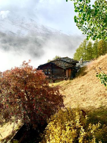 a house on the side of a hill at Châlet Birkhahn in Saas-Fee