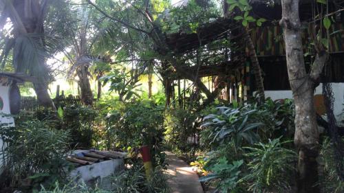 Jardín al aire libre en Green Zion Garden