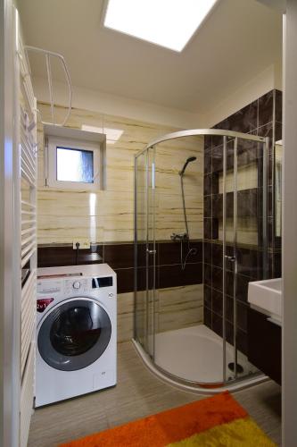 a washing machine in a bathroom with a shower at Bungalov v Beskydech in Frenštát pod Radhoštěm