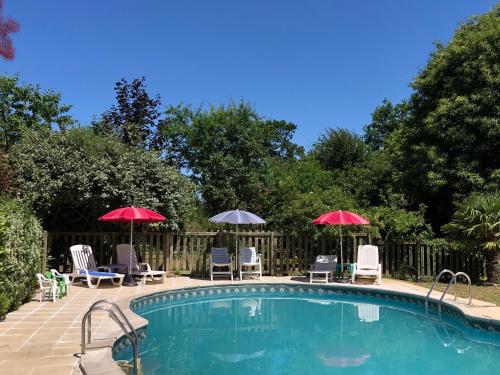 - une piscine avec des chaises et des parasols à côté dans l'établissement Gîte Ker Corsica, à Retiers