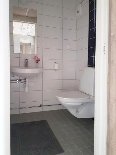a bathroom with a toilet and a sink at Topperyd Bed & Breakfast in Nässjö