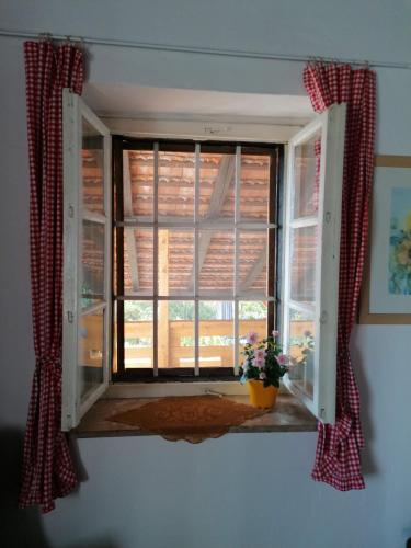 an open window with a potted plant in a room at Rural house above the forest in Gornja Voća