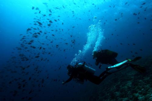 a person swimming in the ocean with a camera at Soneva Fushi in Baa Atoll