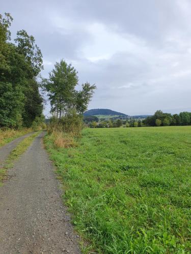 a dirt road in a field with a tree at Gästehaus Hutweide in Bärenstein