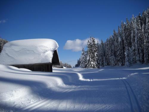 a pile of snow on the roof of a house at Gästehaus Maria in Kartitsch