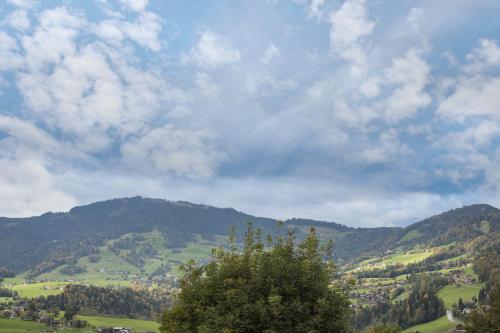 a view of a valley with trees and mountains at Försterhaus Wohnung Obergeschoss in Egg