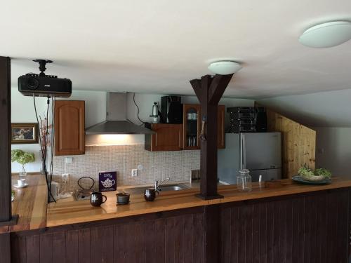 a kitchen with a counter with a sink and a refrigerator at Penzion U našich in Mladé Buky