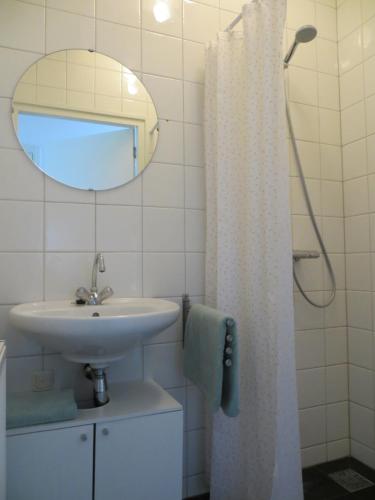 uma casa de banho com um lavatório, um espelho e um chuveiro em Vakantiehuis Het Wapen van Heeckeren em Hummelo