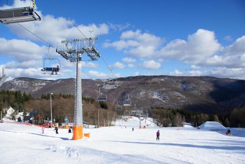  Hotel Emeran -  Room  picture :   Shower    TV    Hairdryer                           