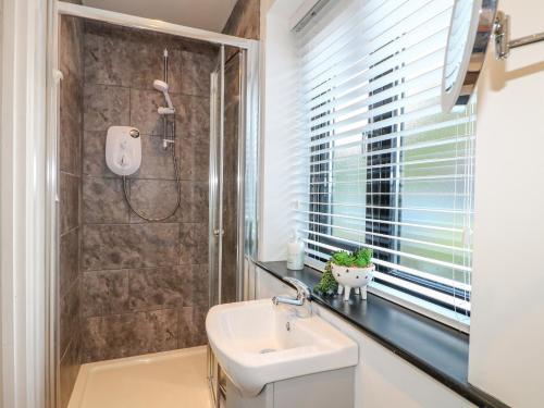 a bathroom with a sink and a shower at The Coach House, Bank Top Farm in Ashbourne