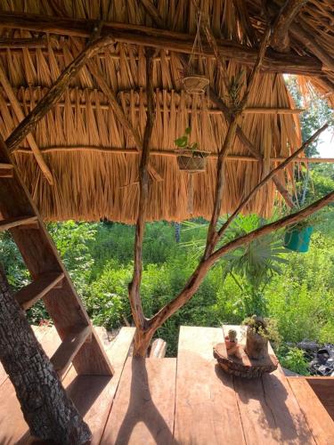 a straw hut with a table and a tree at The Republic of corn in Jose Maria Morelos