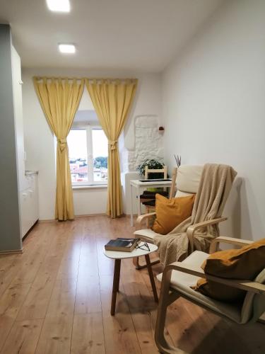a living room with a couch and a table at Studio Apartman ''Nicole'' in Pula