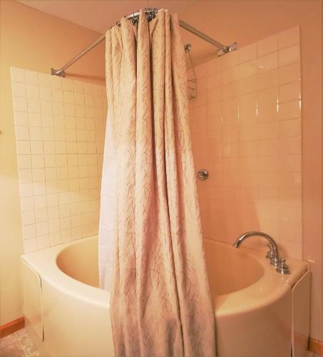 a bathroom with a tub and a shower curtain at Gorgeous House for Ski Retreat or Mountain Vacations in Snowshoe