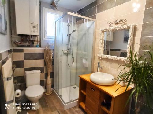 a bathroom with a shower and a toilet and a sink at Les chambres de Beauviel in Saint-Jean-dʼEyraud