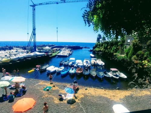 a group of boats are docked in a marina at Casa Vacanze Sempreinsieme Santa Tecla in Santa Tecla