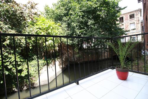 a black fence with a potted plant on a balcony at La Riviera in La Fère