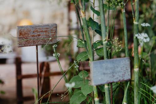 a couple of signs sitting next to some plants at Abbazia Sette Frati Agriturismo Fratres in Pietrafitta