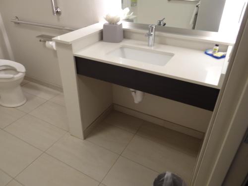 a bathroom with a sink and a toilet at Holiday Inn Express & Suites - Auburn Downtown by IHG in Auburn