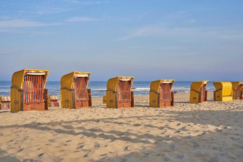 Naturlandskabet i nærheden af lejligheden