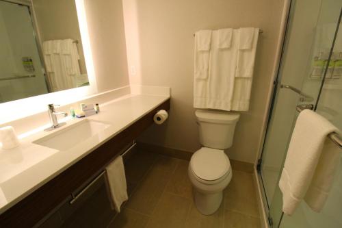 a bathroom with a sink and a toilet and a mirror at Holiday Inn Express Murrysville - Delmont, an IHG Hotel in Delmont