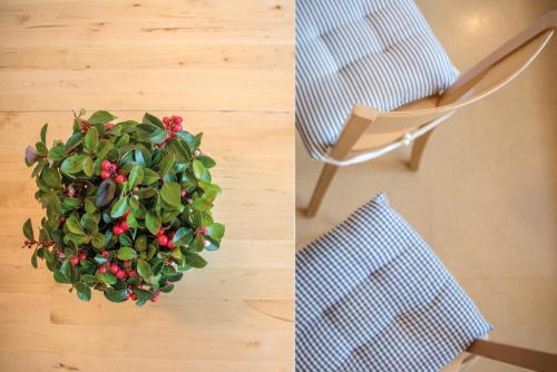 a chair and a plant on the floor next to a chair at Apparthotel Feldhof - Living and Bistro in Nova Ponente