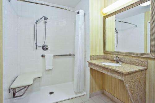 a bathroom with a sink and a shower and a mirror at Holiday Inn Express Hotel & Suites Goshen by IHG in Goshen