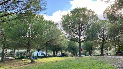 a park with a bunch of trees and hammocks at AGRiCAMPiNG POGGiO Ai PiNi WiNE CAMPiNG in Certaldo