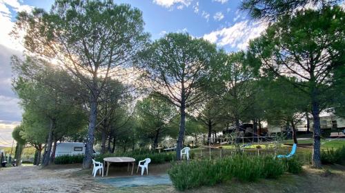 einen Picknicktisch und Stühle in einem Park mit Bäumen in der Unterkunft AGRICAMPING POGGIO AI PINI in Certaldo