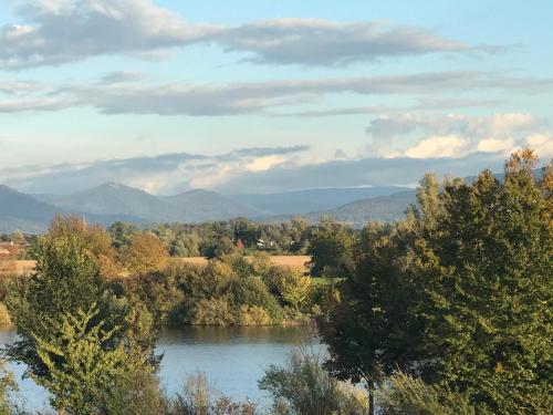 a river with trees and mountains in the background at Loft Unterkunft in Hügelsheim in Hügelsheim