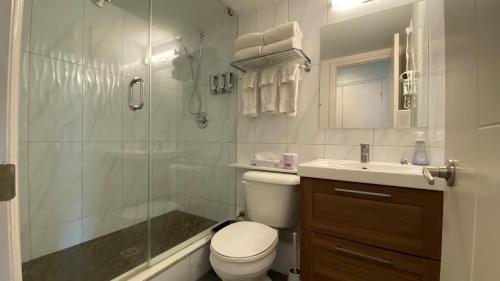 a bathroom with a toilet and a shower and a sink at Amber Hotel in Grand Bend
