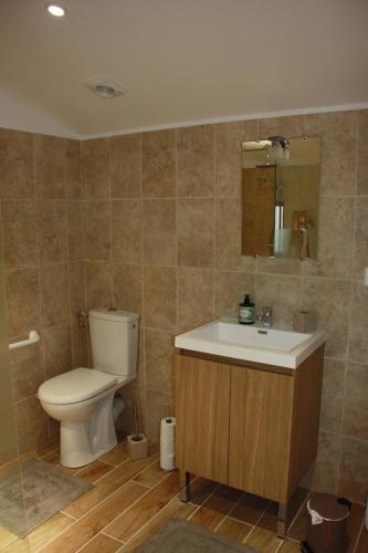 uma casa de banho com um WC, um lavatório e um espelho. em Logis au milieu des pins em Le Puy-Sainte-Réparade