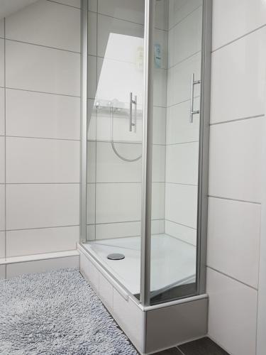 een douche met een glazen deur in de badkamer bij Hohenlohe -Residenz-Svetlana in Langenburg
