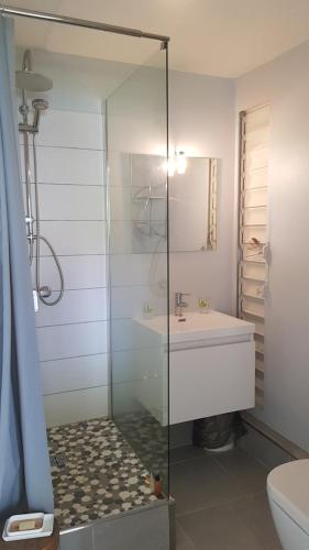 W łazience znajduje się szklana kabina prysznicowa i umywalka. w obiekcie HAMEAU DE BEAUREGARD w mieście Sainte-Anne