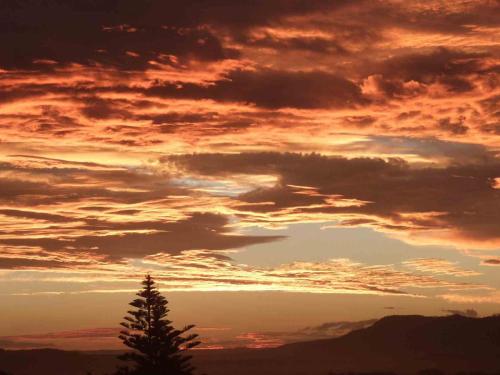 a sunset with a tree in the foreground at Pinkos, Gerroa in Gerroa