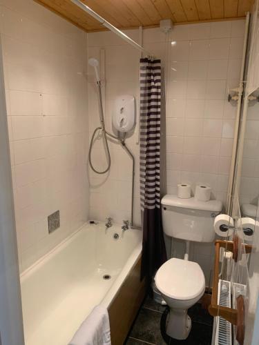 uma casa de banho com uma banheira, um WC e um lavatório. em Conwy Valley Hotel em Conwy