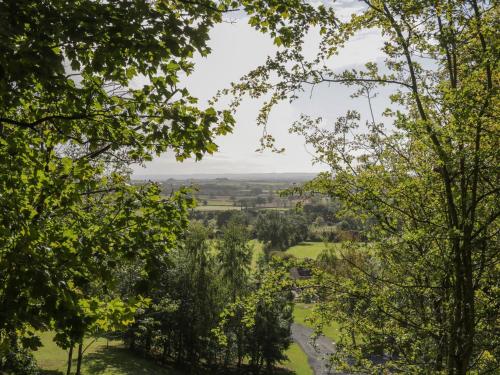 a view of a river through the trees at Ryedale Country Lodges - Willow Lodge in York