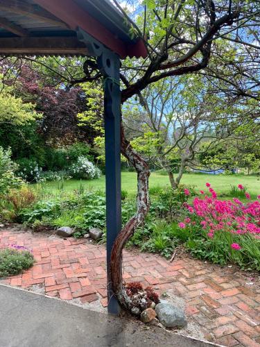 a tree wrapped around a blue pole in a garden at Quail Farm, Colonial charm in Nelson